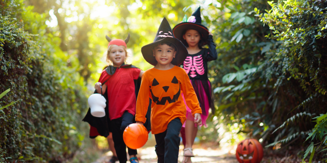 La journée d'Halloween tant attendue des enfants aux Petits Fermiers de Lansargues