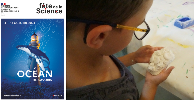 Atelier "A la découverte des fossiles marins" avec Demain la Terre!