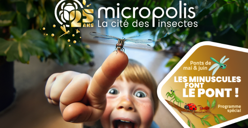 Profitez des ponts de mai et juin en famille à Micropolis !