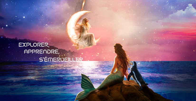Plongez dans un monde de merveilles pendant les vacances au Planet Ocean Montpellier!