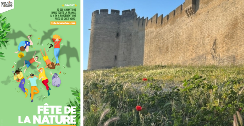Une journée en pleine nature au cœur du fort Saint-André à Villeneuve-lès-Avignon!