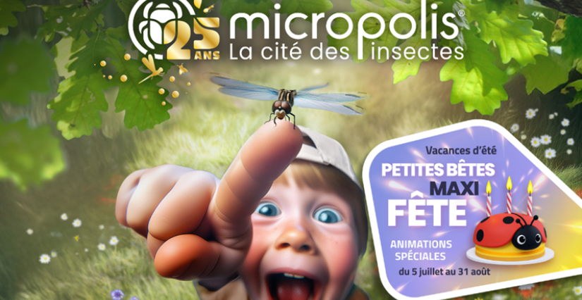  Un été en famille à Micropolis, la Cité des Insectes, en plein coeur de l'Aveyron ! 