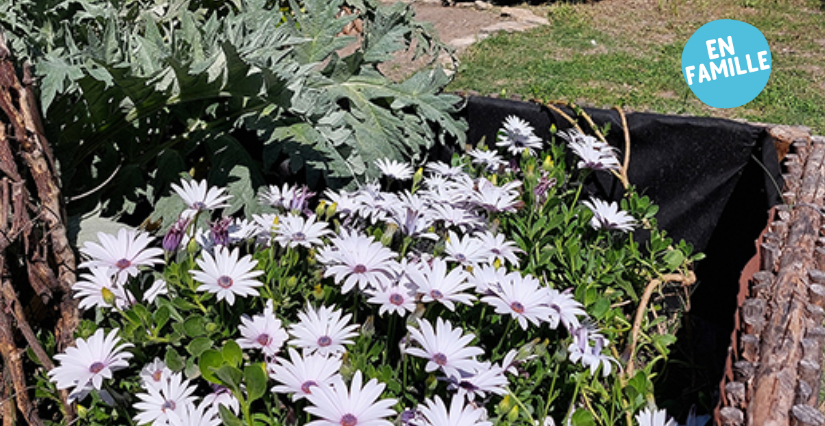 Visite famille : à la découverte du jardin médiéval du Fort Saint-André à Villeneuve-lès-Avignon !