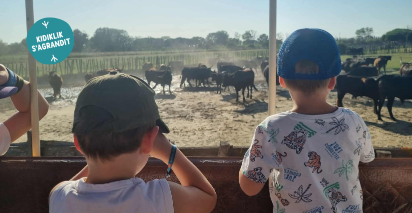 Découvrir La Petite Camargue en famille !
