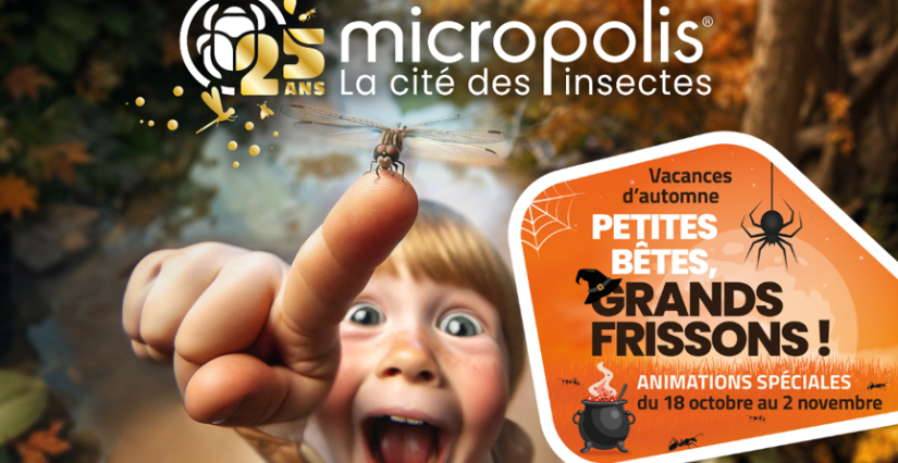 Des vacances d'automne sous le signe des mystères et des frissons chez Micropolis dans l'Aveyron !