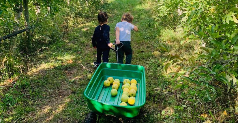 La Maison Bénazé, cueillette de fruits près de Montpellier