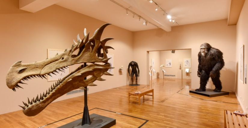Nouvelle exposition pour les familles " Anatomie comparée des espèces imaginaires" au Musée de Lodève