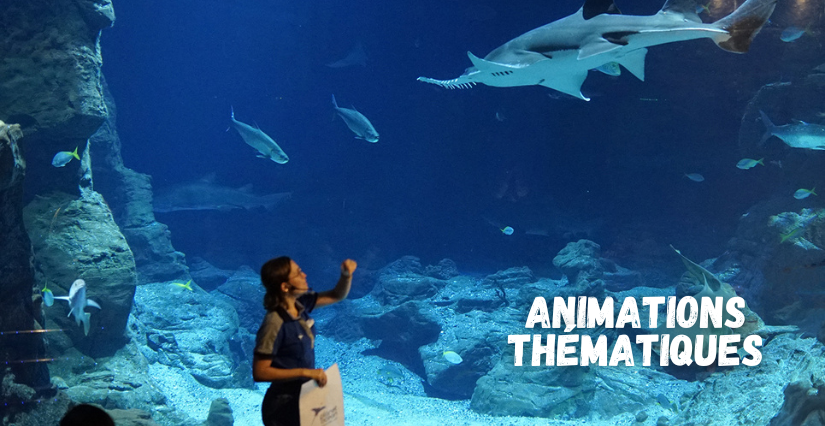 Animations thématiques : les secrets incroyables de la nature et de l'espace au Planet Ocean Montpellier