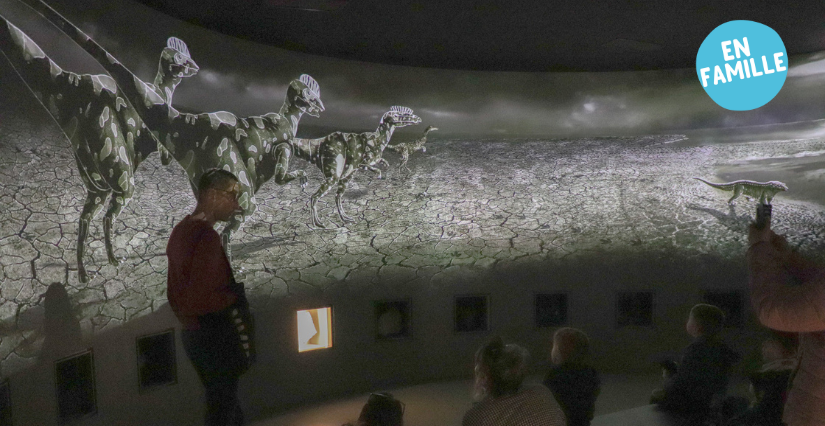 Visite découverte "Les incontournables du musée" au Musée de Lodève