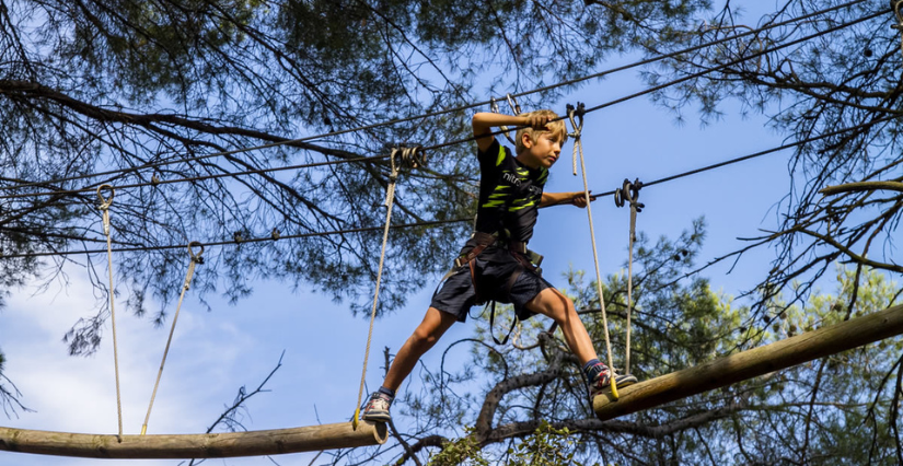 Profitez des couleurs d'automne dans les arbres de Tyroliane pendant les vacances !