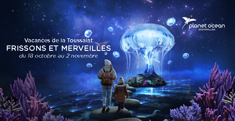 Des vacances de la Toussaint extraordinaires entre peur et fascination au Planet Ocean Montpellier !