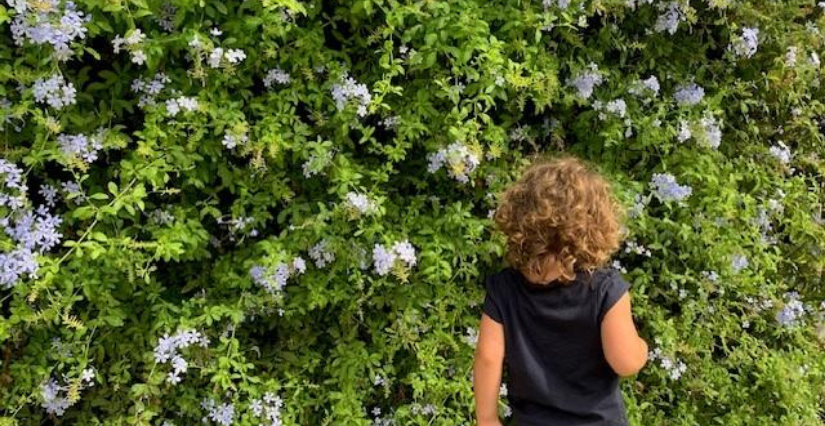 Atelier « Par le bout du nez : les odeurs de la ville » au MO.CO. Panacée à Montpellier