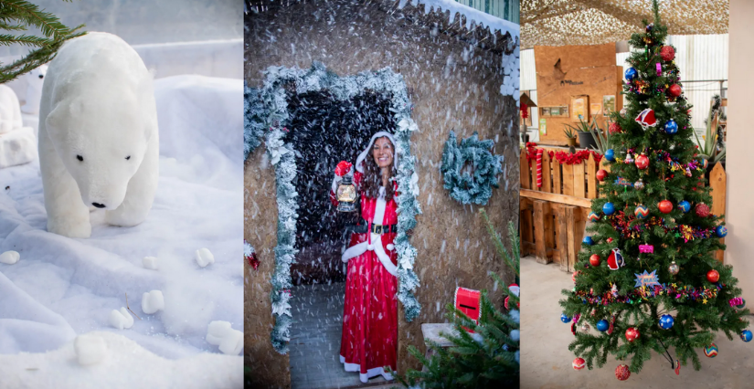 Christmas Party 2025 à la Pépinière de Terrattitude au Cailar!