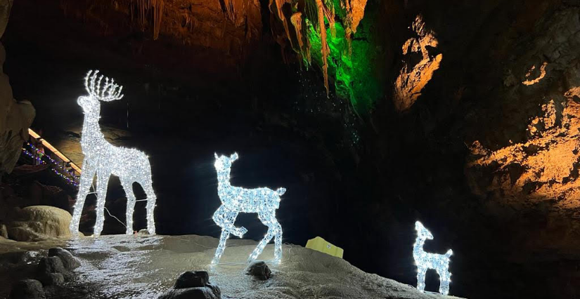 La Magie des Lumières de Noël à la Grotte de Trabuc