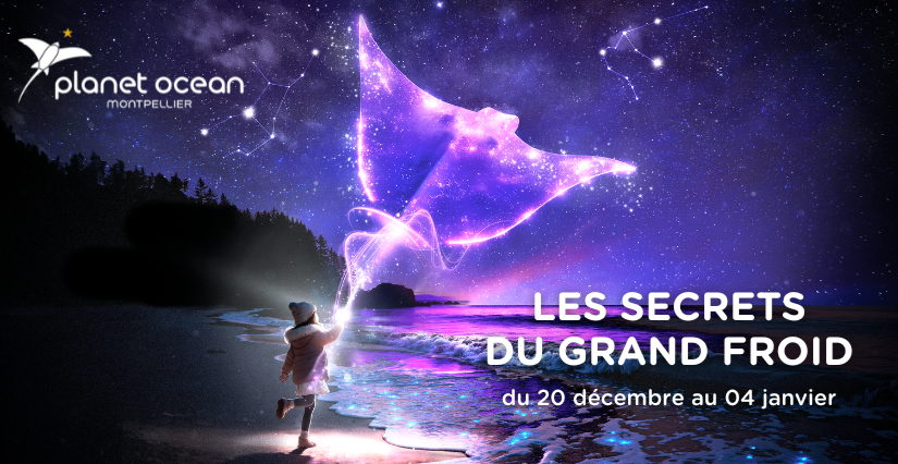 Vacances de Noël à Planet Ocean Montpellier : une aventure givrée pour toute la famille !