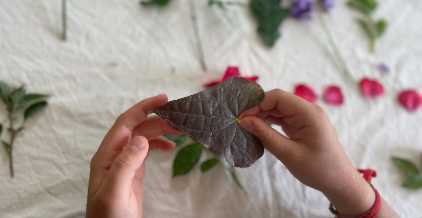 Stage vacances "Cultiver son jardin" au MO.CO à Montpellier