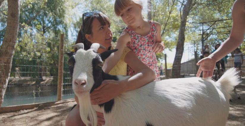 Les Petits Fermiers : ouvert même en hiver!