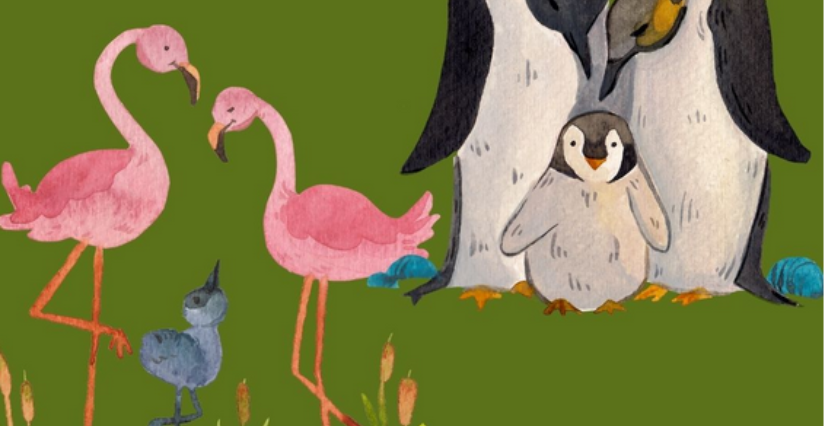 Atelier créatif en famille : " drôle de famille... d'oiseaux” au Musée Médard à Lunel !