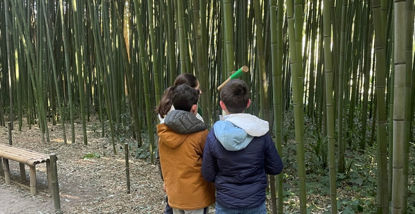 Jeu de piste nature à vivre en famille à la Bambouseraie en Cévennes
