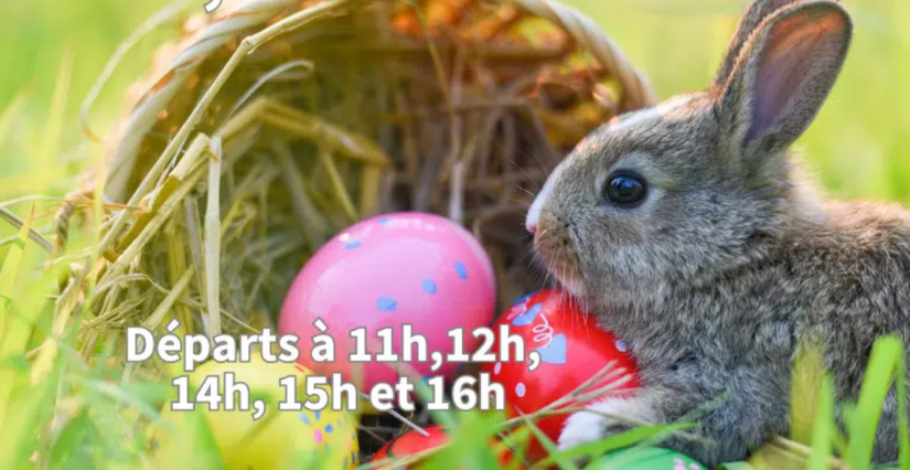 Chasse aux œufs au Petits Fermiers de Lansargues : un week-end gourmand pour les familles !