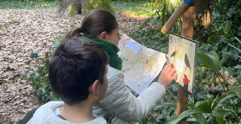 Jeu de piste nature à vivre en famille à la Bambouseraie en Cévennes