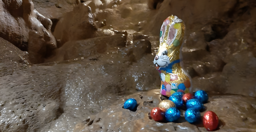 Partez à la recherche des lapins des cavernes à la Grotte de Trabuc 