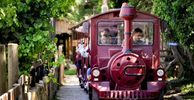 Vacances d'été en famille : animations et spectacles au Vieux Mas à Beaucaire