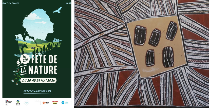 Visite famille gratuite "A la découverte de l'Art aborigène" au Musée de Lodève