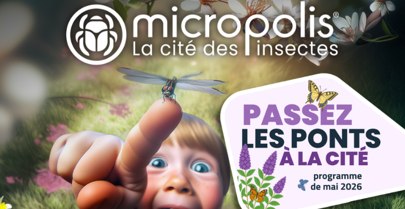 Profitez des ponts de mai en famille à Micropolis !