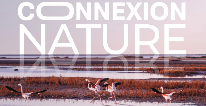 Week-end Connexion Nature 2026 : une sortie 100 % nature à vivre en famille au Grau-du-Roi !