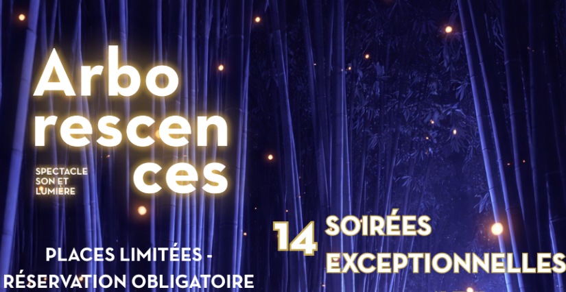 ARBORESCENCES : spectacle son & lumière à la Bambouseraie en Cévennes