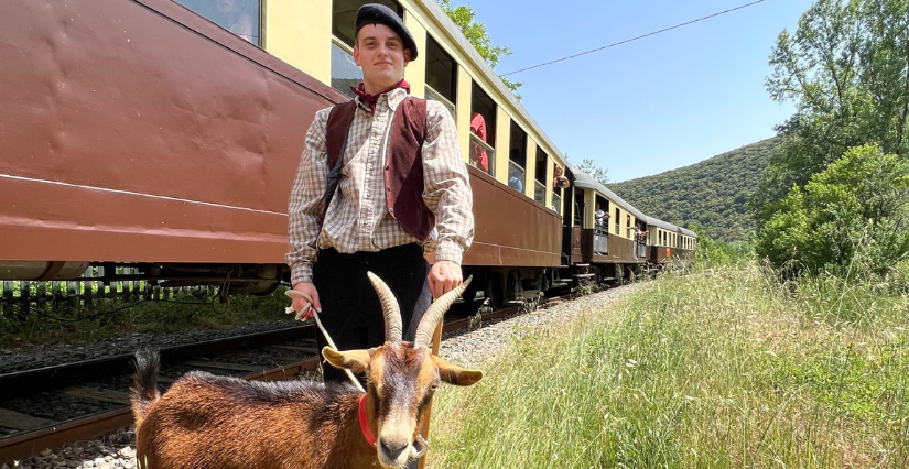 Le Train des Saveurs : une escapade gourmande en famille dans les Cévennes !