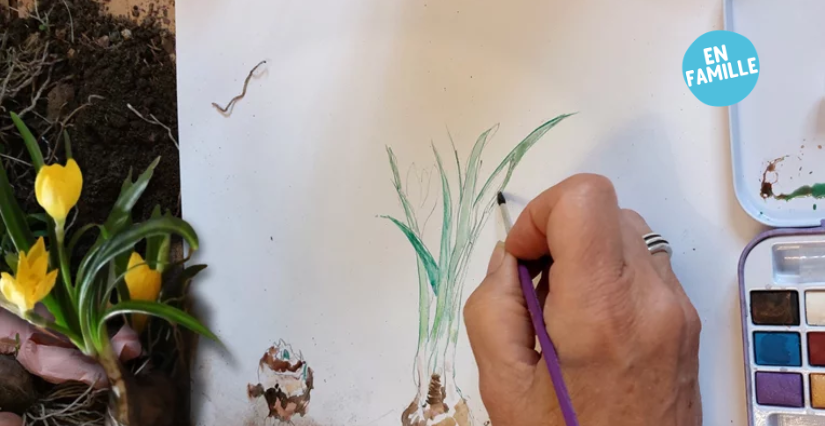 Atelier botanique en famille au Fort Saint-André à Villeneuve-lès-Avignon