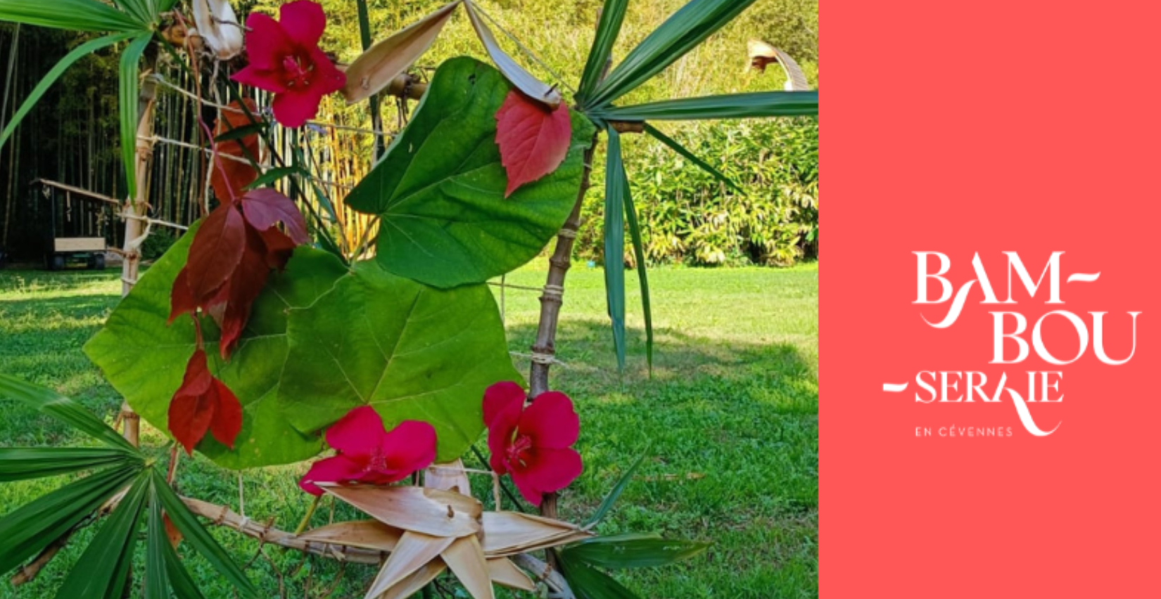 Atelier Land Art en famille à la Bambouseraie en Cévennes près d'Anduze !