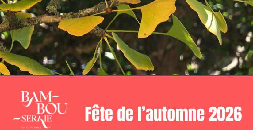 Fête de l'Automne à la Bambouseraie en Cévennes: la sortie à faire en famille !