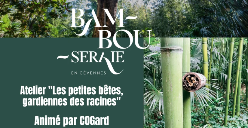 À la découverte des petites bêtes de la Bambouseraie en Cévennes à Anduze