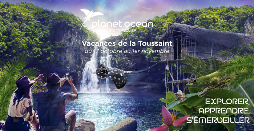 Des vacances de la Toussaint sous les tropiques au Planet Ocean Montpellier !