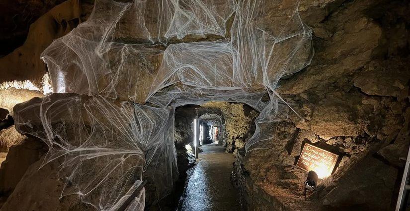 Halloween s’invite sous terre à la Grotte de Trabuc ! 