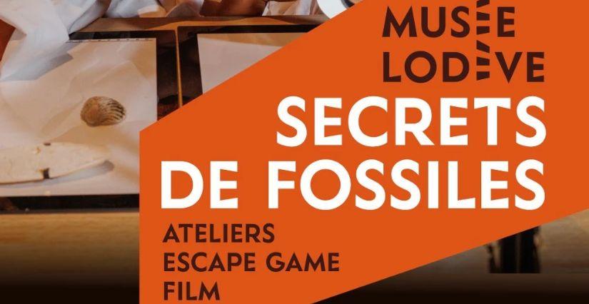 Secrets de fossiles : un programme passionnant pour les vacances d'automne à Lodève !