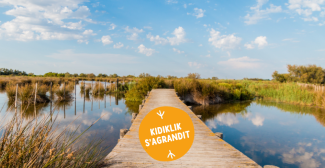 Kidiklik s'aggrandit : retrouvez maintenant les meilleures sorties à faire en famille aussi dans le Gard !